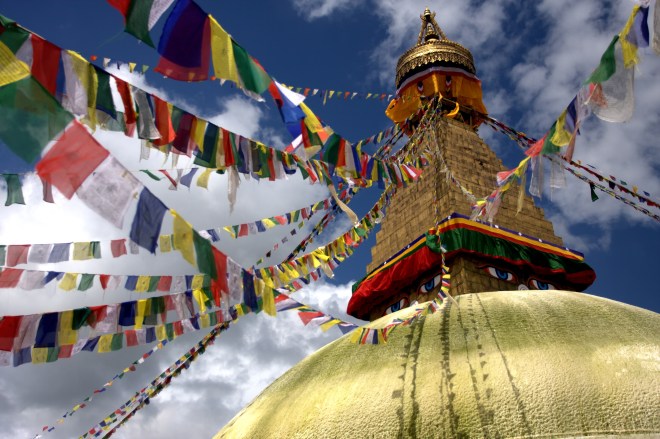 3842281407_2dcf187906_o