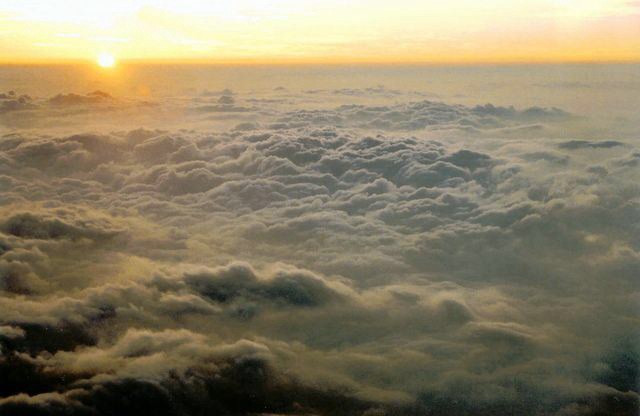 Photography by El-Branden Brazil