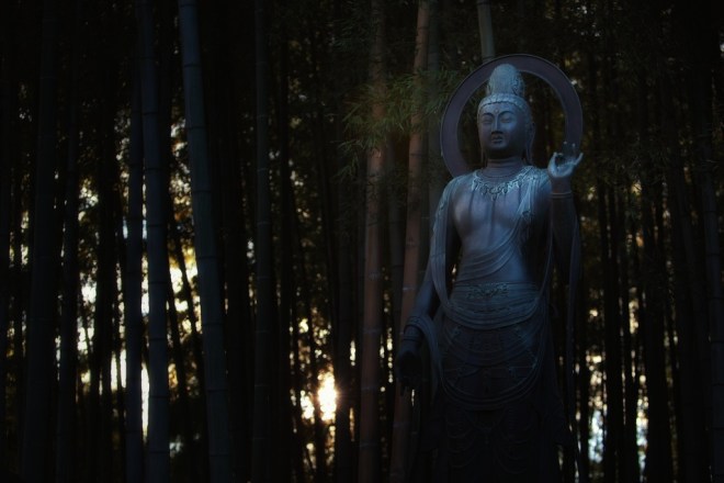 Photography by El-Branden Brazil